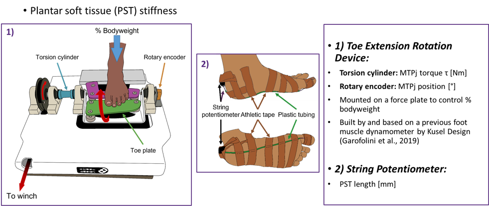 Methods for measuring plantar soft tissue stiffness