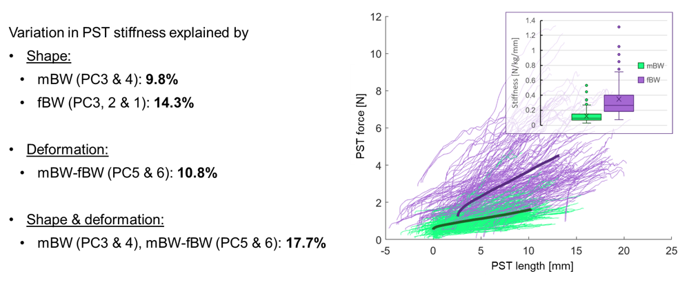 Plantar soft tissue stiffness results