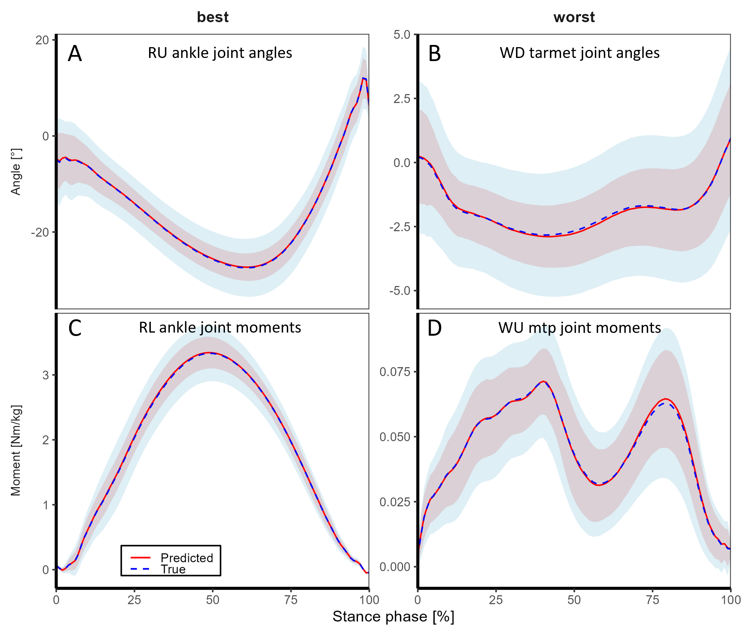 Foot shape-function model prediction accuracy