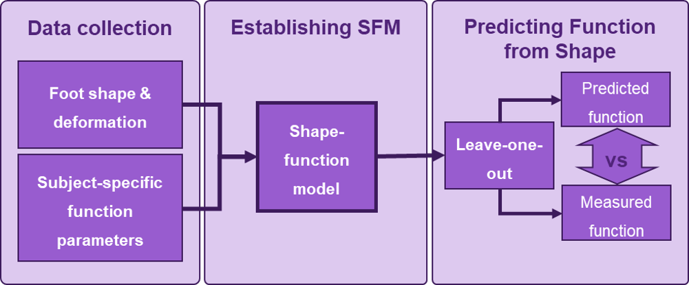 Foot shape-function modelling methods